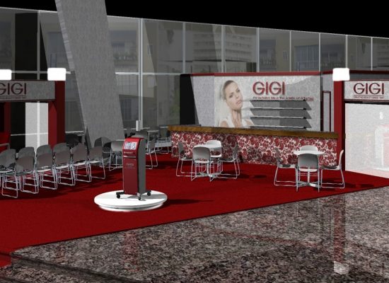 gigi novel estetic 2010 2a
